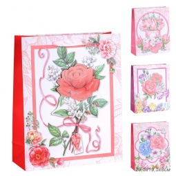 Пакет 1199S (23.5х19.5х8)