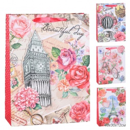 Пакет 1261L (40х30х12)