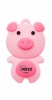 USB Flash Mirex PIG PINK 16GB